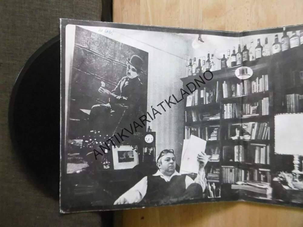MIROSLAV HORNÍČEK, DOBŘE UTAJENÉ HOUSLE, 2 LP