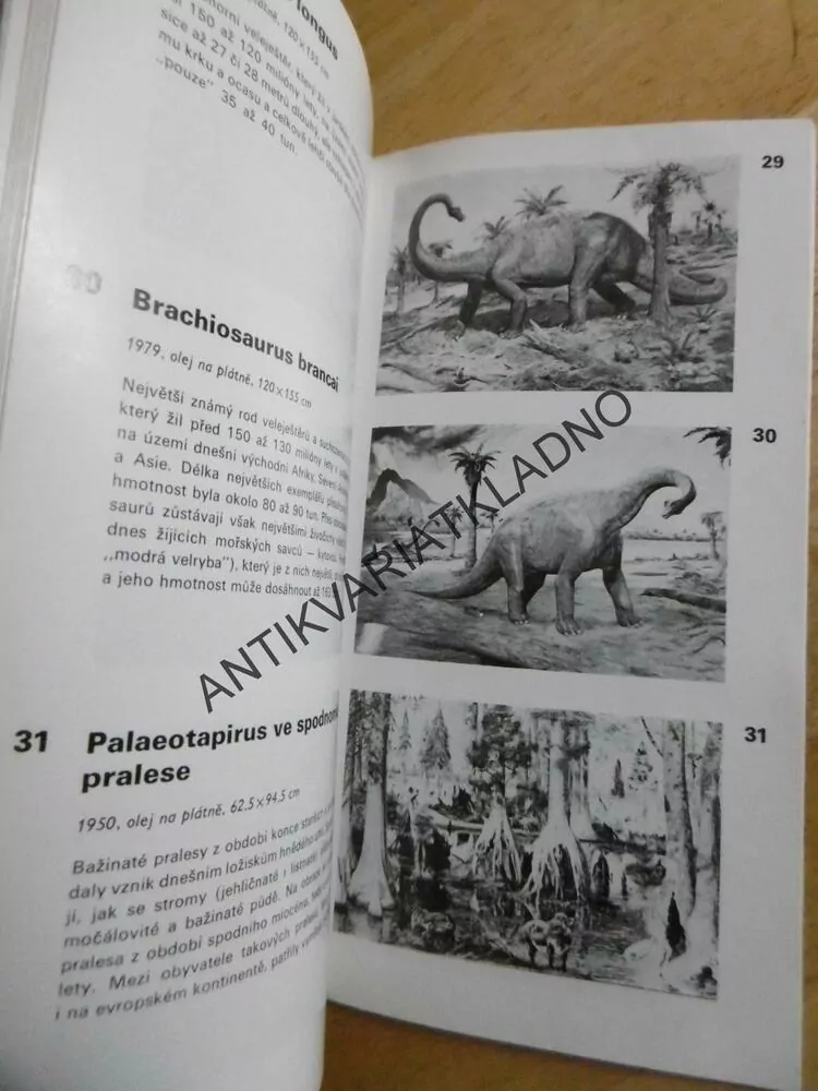 VÝVOJ ŽIVOTA NA ZEMI, STÁLÁ EXPOZICE OBRAZŮ ZDEŇKA BURIANA