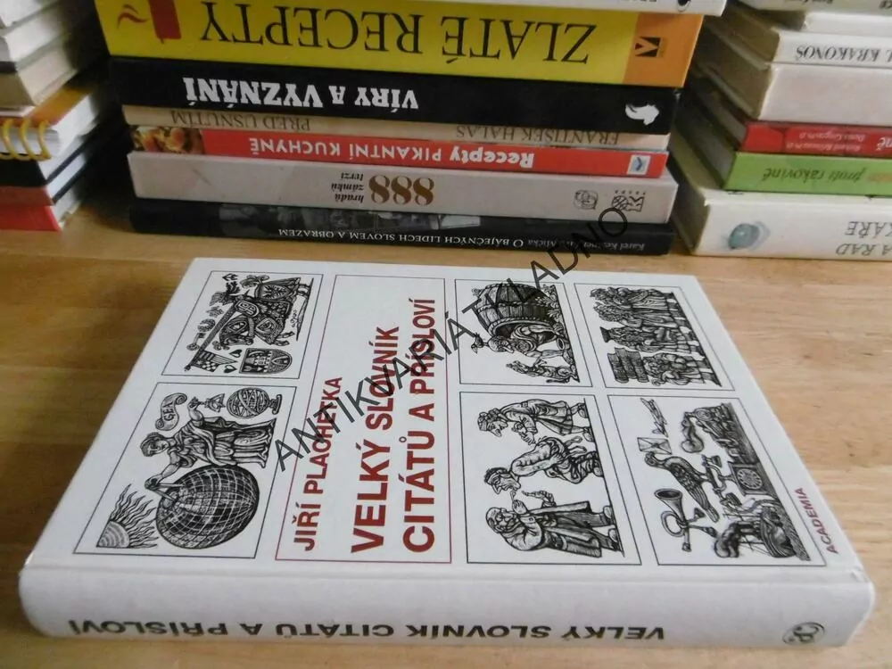 VELKÝ SLOVNÍK CITÁTŮ A PŘÍSLOVÍ, JIŘÍ PLACHETKA, **an