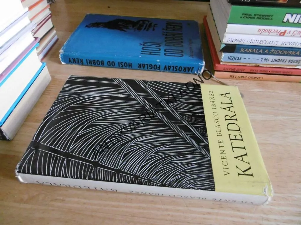 KATEDRÁLA, VICENTE BLASCO IBÁNEZ, **an