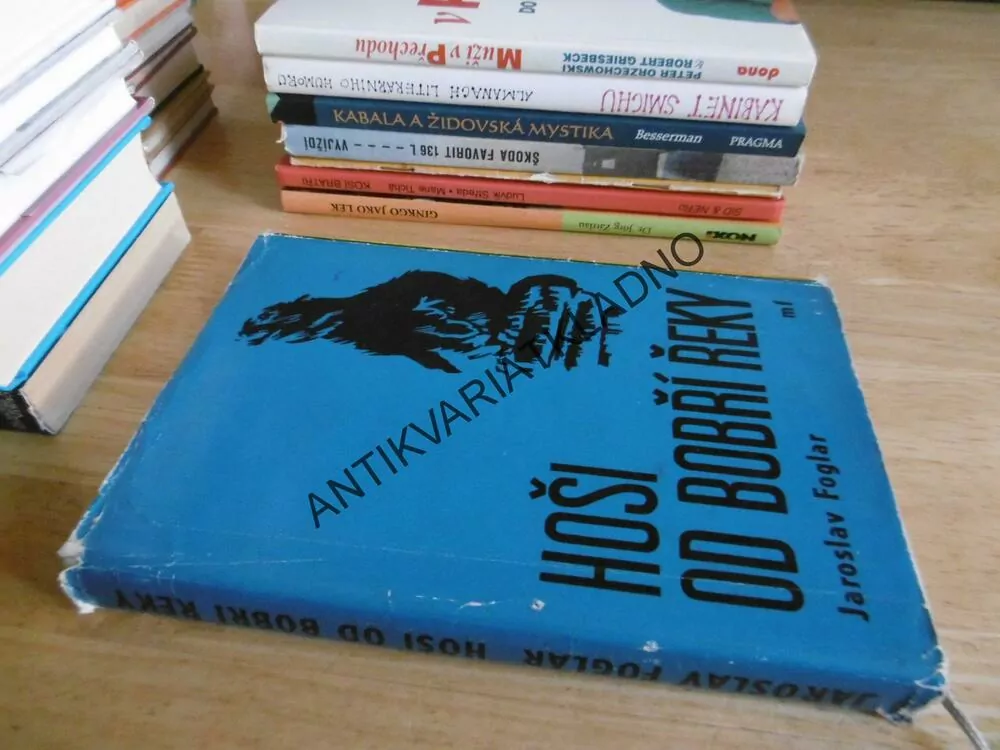 HOŠI OD BOBŘÍ ŘEKY, JAROSLAV FOGLAR, **an