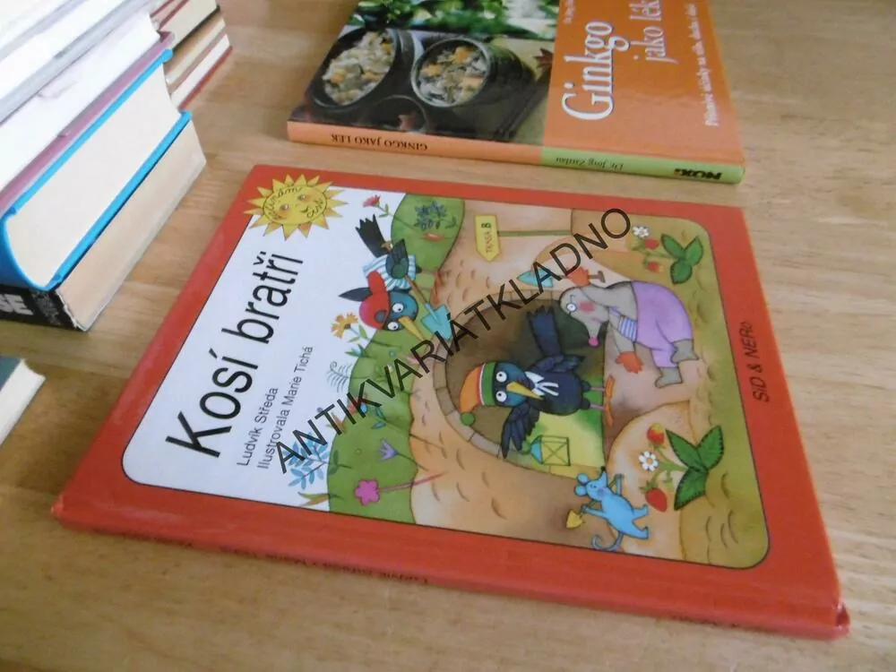 KOSÍ BRATŘI, LUDVÍK STŘEDA, MARIE TICHÁ, **an