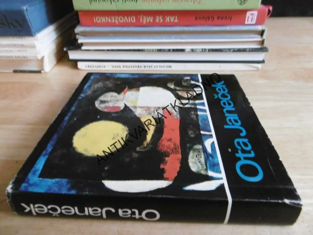 OTA JANEČEK, PETR HARTMANN, 1973, VÝTVARNÉ UMĚNÍ