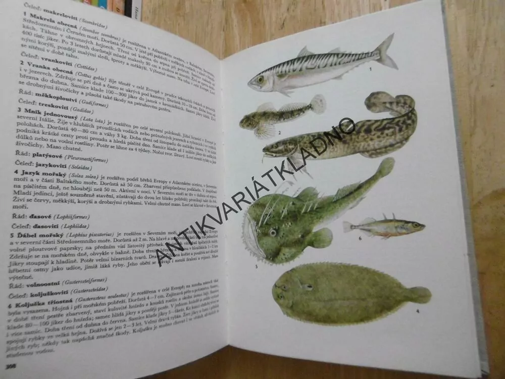 PŘÍRODOU KROK ZA KROKEM, FELIX, TOMAN, HÍSEK, **an