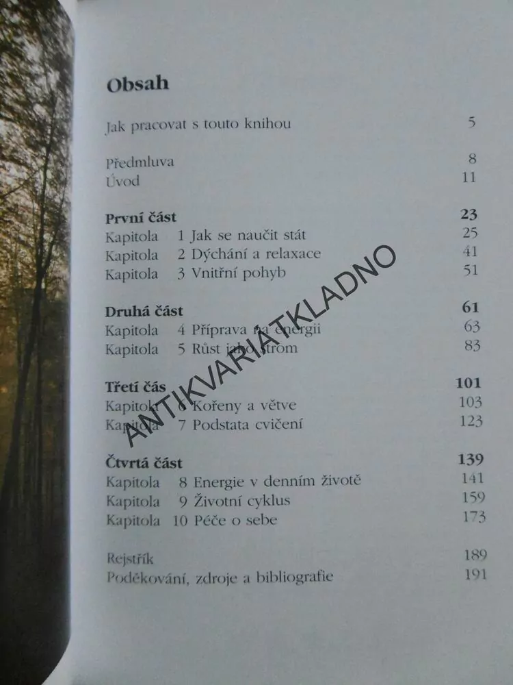 ČCHI-KUNG CESTA ENERGIE, MISTR LAM KAM CHUEN