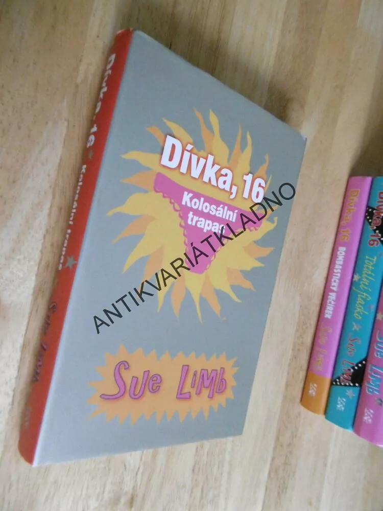 DÍVKA,16, KOLOSÁLNÍ TRAPAS, SUE LIMB, **an