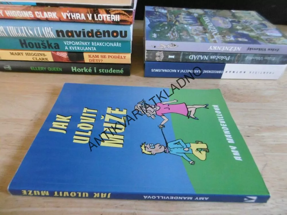 JAK ULOVIT MUŽE, AMY MANDEVILLOVÁ, **an