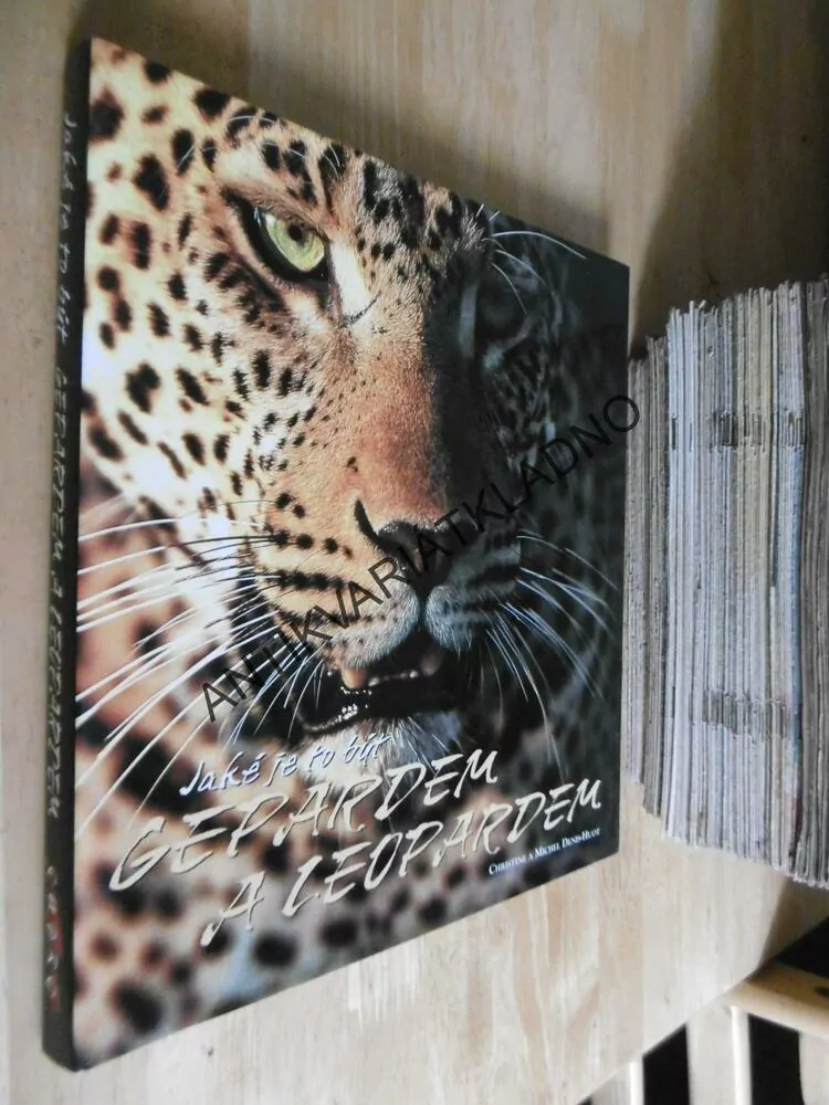 JAKÉ JE TO BÝT GEPARDEM A LEOPARDEM, CHRISTINE A MICHEL DENIS-HUOT, **an