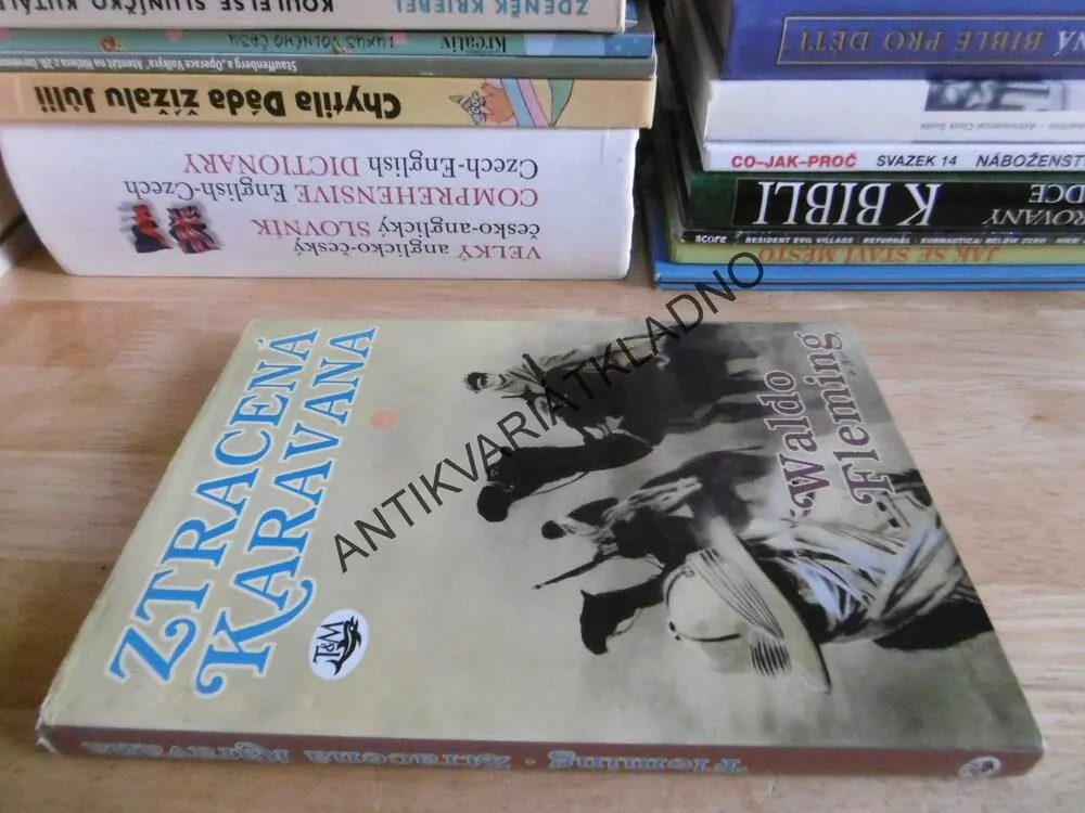 ZTRACENÁ KARAVANA, WALDO FLEMING, **an