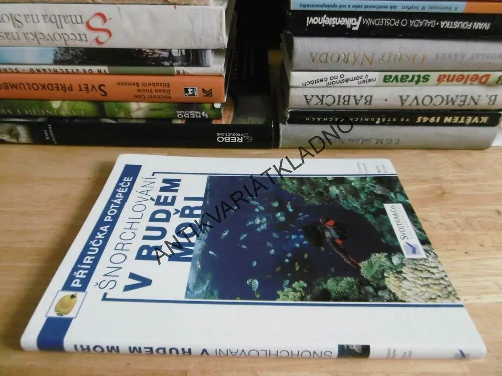 ŠNORCHLOVÁNÍ V RUDÉM MOŘI, PŘÍRUČKA POTÁPĚČE, CLAUDIO CANGINI, NADIA ALZANI, **an