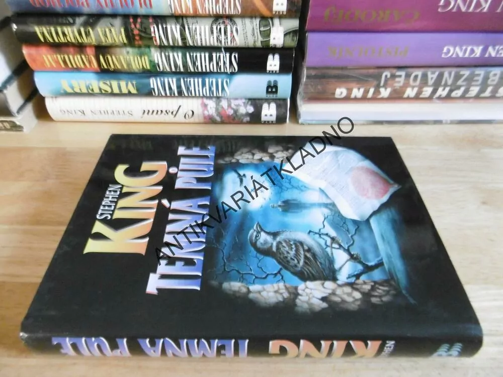 TEMNÁ PŮLE, STEPHEN KING, **an