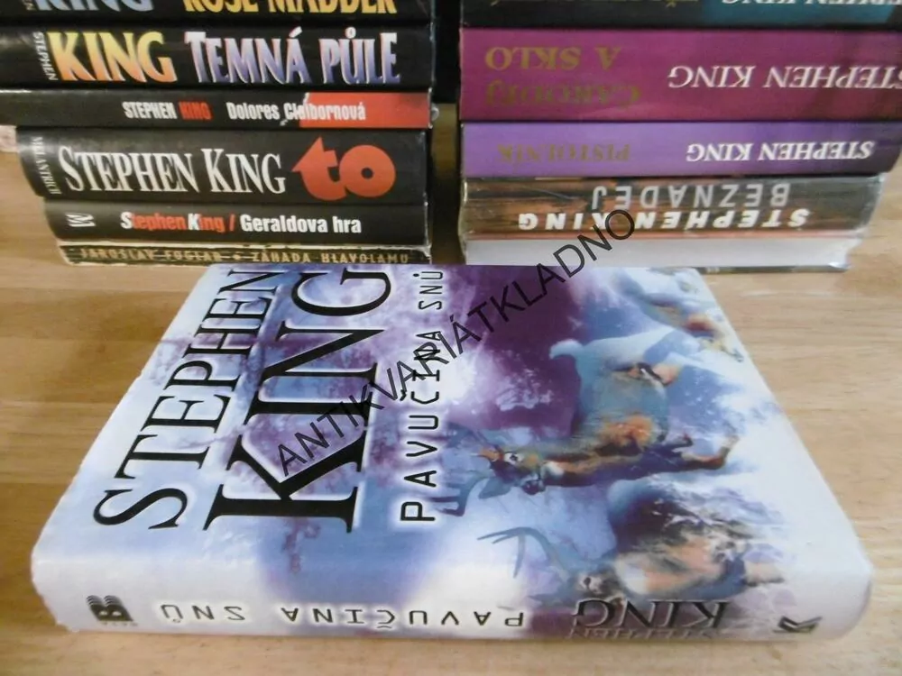 PAVUČINA SNŮ, STEPHEN KING, **an