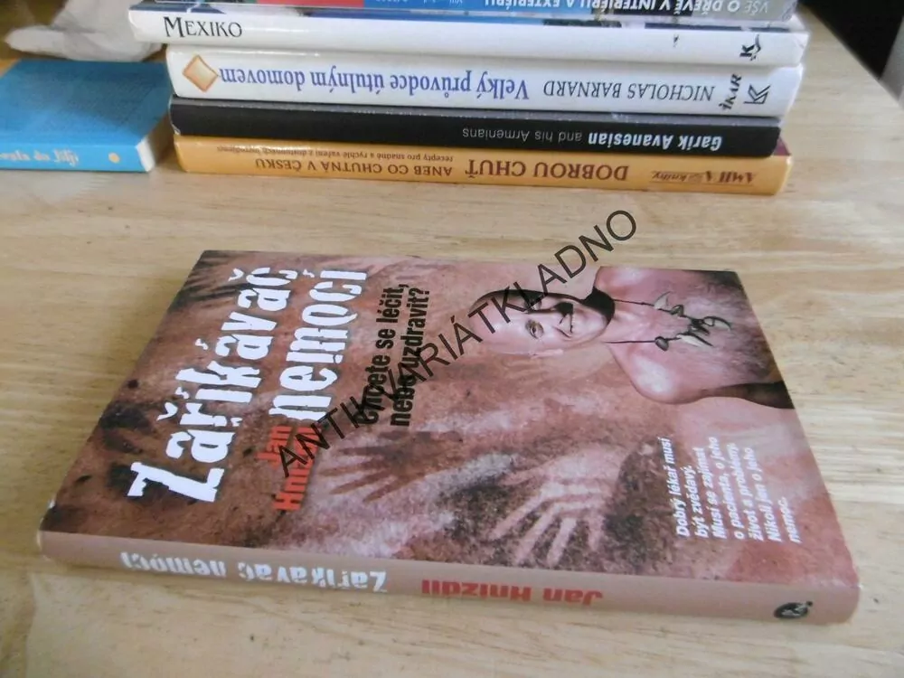 ZAŘÍKÁVAČ NEMOCÍ, JAN HNÍZDIL, **an