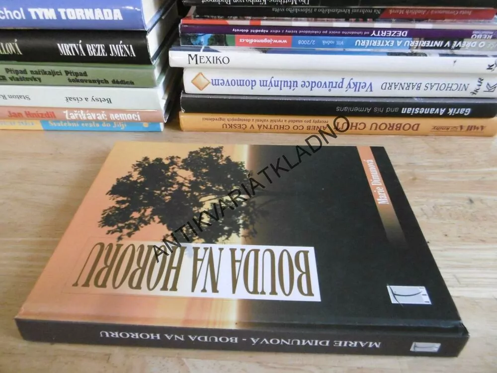 BOUDA NA HORORU, MARIE DIMUNOVÁ, **an