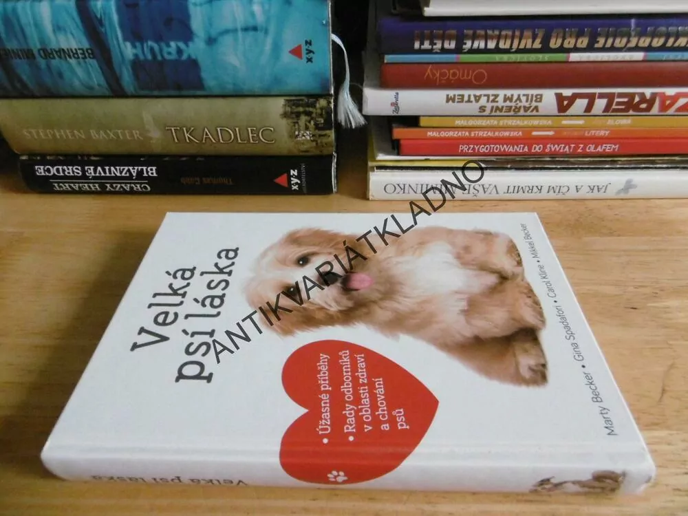 VELKÁ PSÍ LÁSKA, MARTY BECKER, GINA SPADAFORI, CAROL KLINE, MIKKEL BECKER, **an
