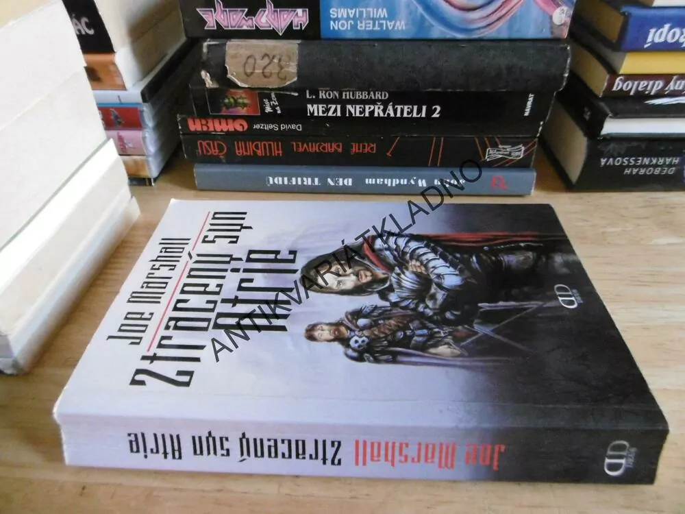 ZTRACENÝ SYN ATRIE, JOE MARSHALL, **an