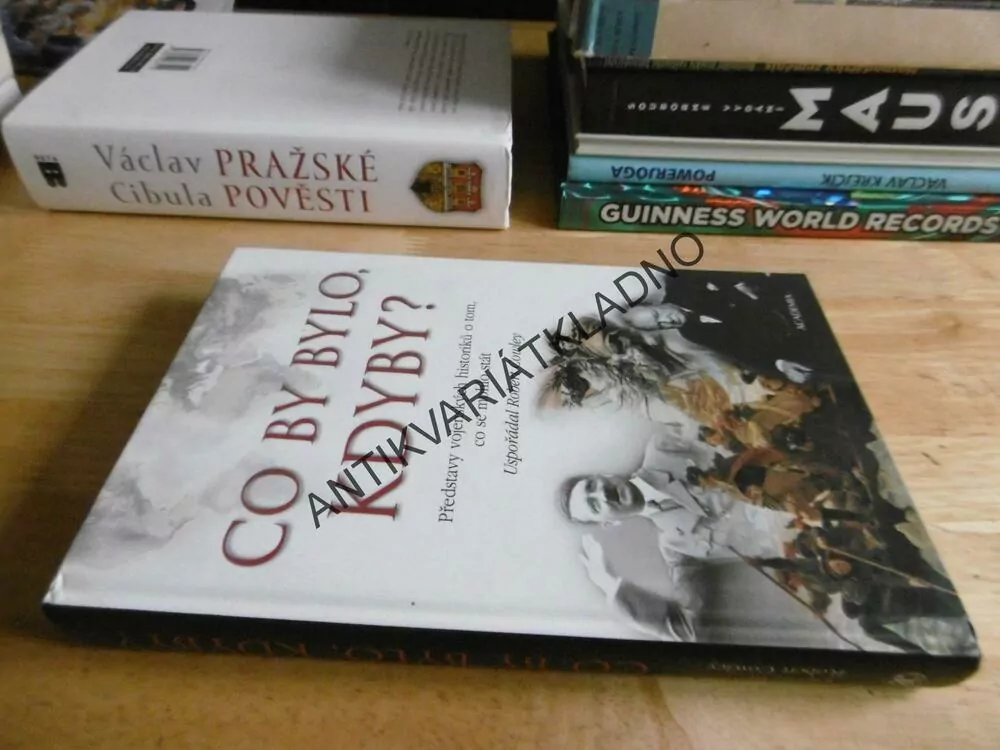 CO BY BYLO, KDYBY?, ROBERT COWLEY, **an
