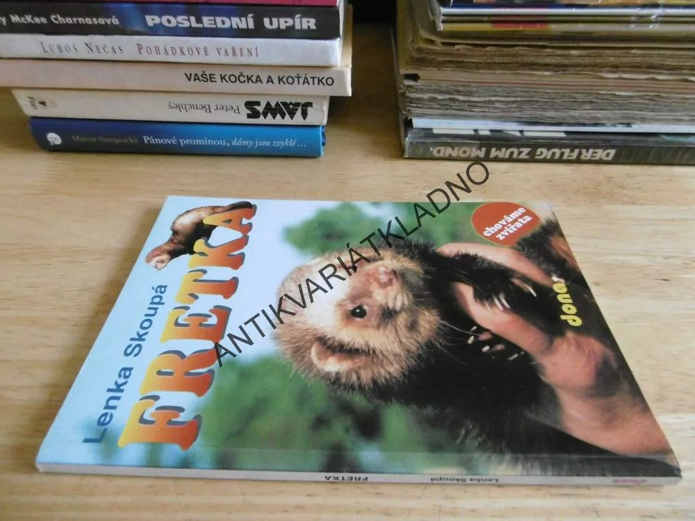 FRETKA, LENKA SKOUPÁ, **an