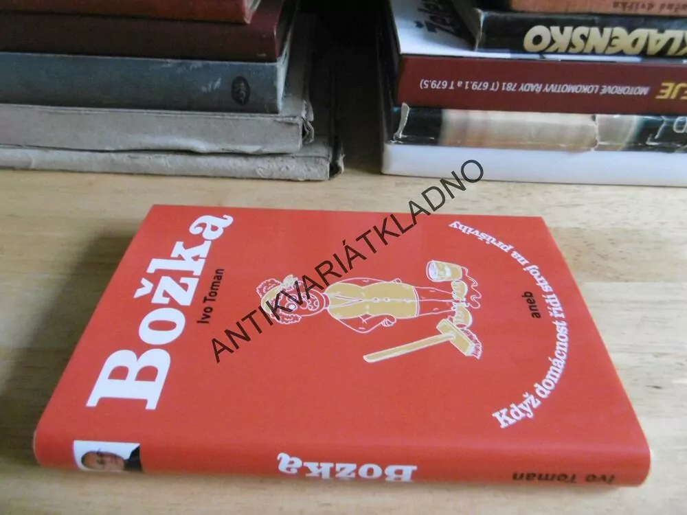 BOŽKA ANEB KDYŽ DOMÁCNOST ŘÍDÍ STROJ NA PRŮŠVIHY, IVO TOMAN, **an
