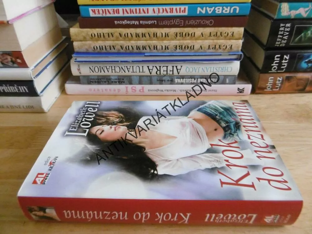 KROK DO NEZNÁMA, ELIZABETH LOWELL, **an