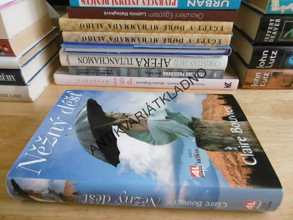 NĚŽNÝ DÉŠŤ, CLAIRE BOUVIER, **an