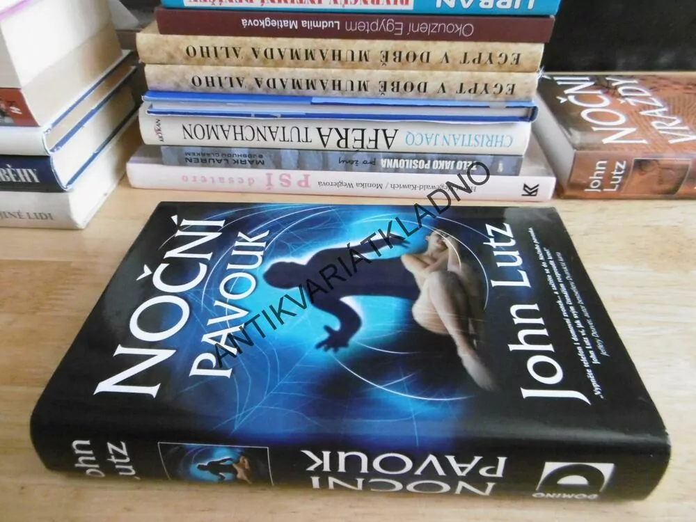 NOČNÍ PAVOUK, JOHN LUTZ, **an