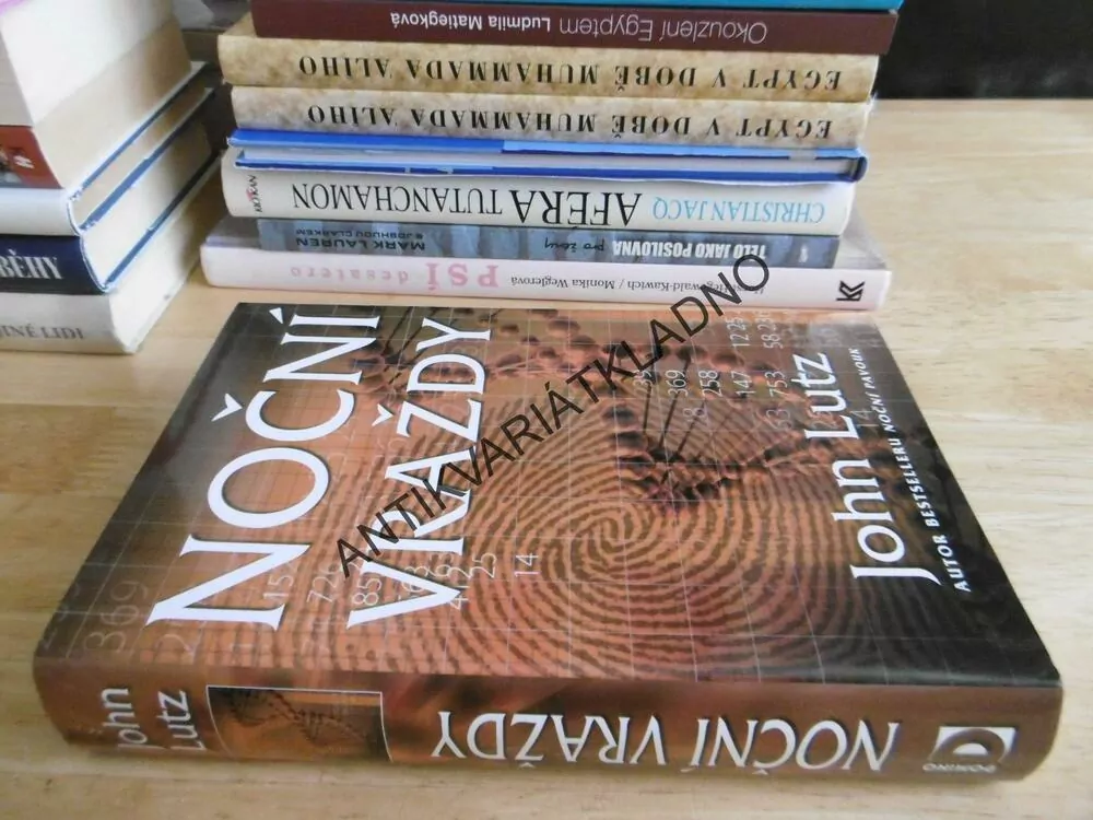 NOČNÍ VRAŽDY, JOHN LUTZ, **an