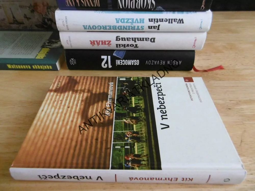 V NEBEZPEČÍ, KIT EHRMANOVÁ, **an