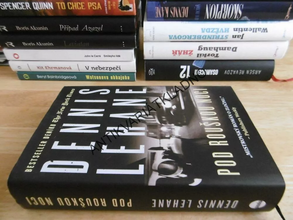POD ROUŠKOU NOCI, DENNIS LEHANE, **an