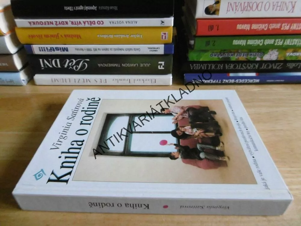 KNIHA O RODINĚ, VIRGINIA SATIROVÁ, , **an