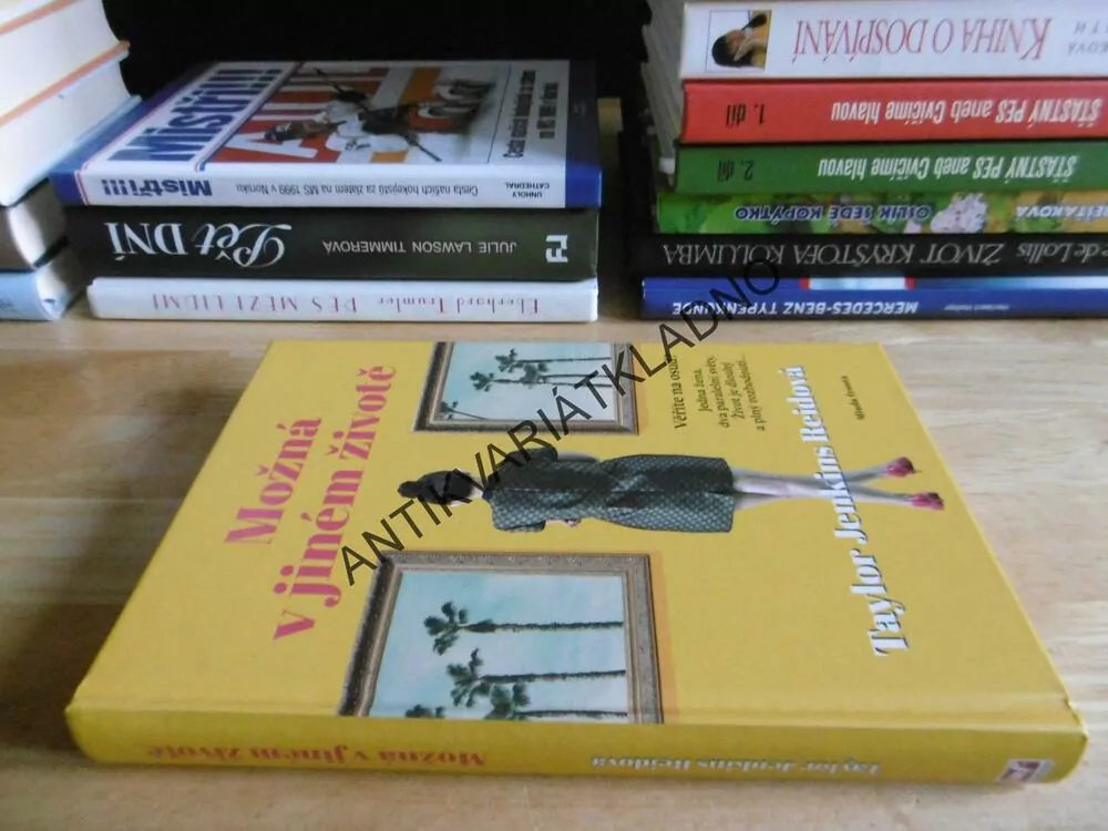 MOŽNÁ V JINÉM ŽIVOTĚ, TAYLOR JENKINS REIDOVÁ, **an