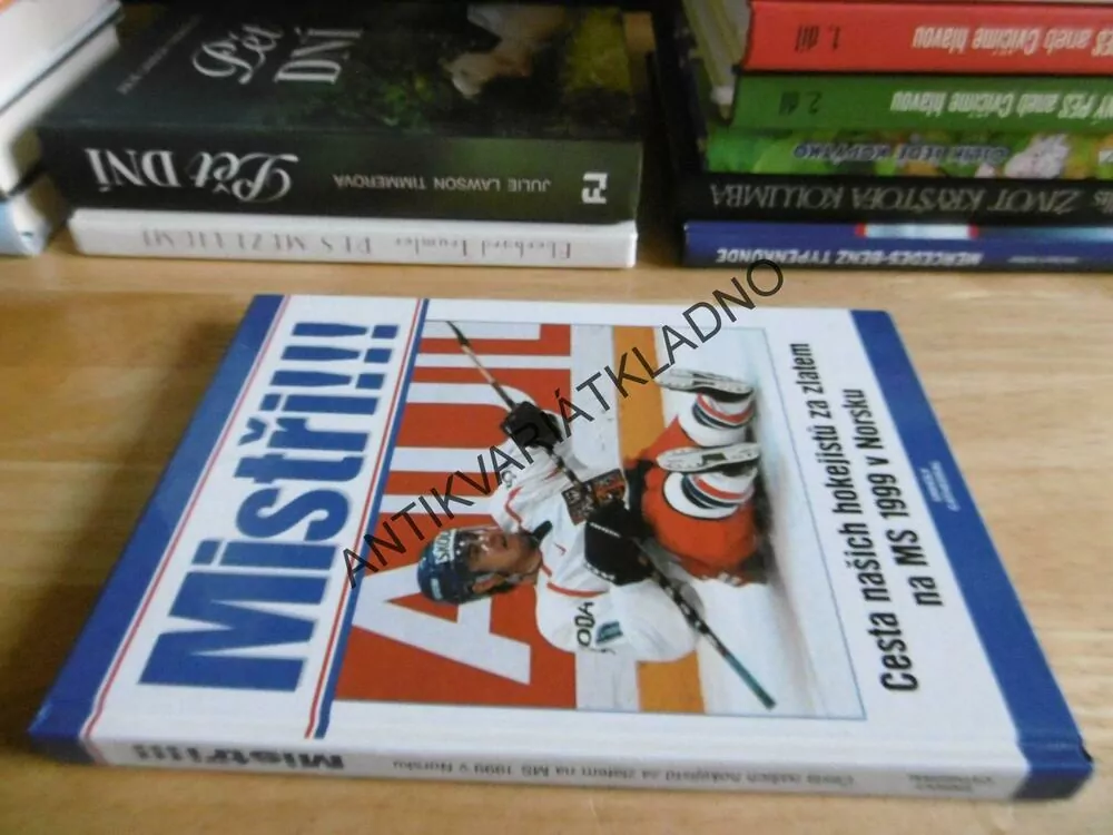 MISTŘI!!!, CESTA NAŠICH HOKEJISTŮ ZA ZLATEM NA MS 1999 V NORSKU, **an