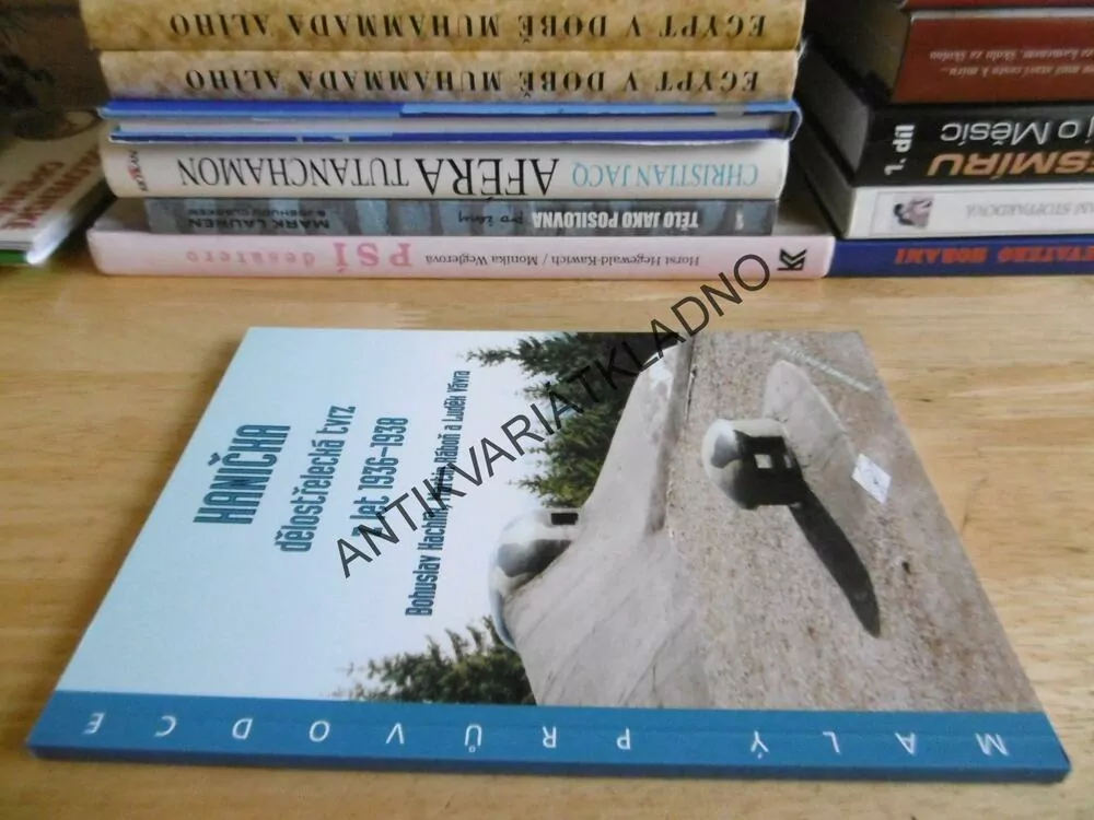 HANIČKA, DĚLOSTŘELECKÁ TVRZ Z LET 1936 - 1938, BOHUSLAV KACHLÍK, MARTIN RÁBOŇ, LUDĚK VÁVRA, **an