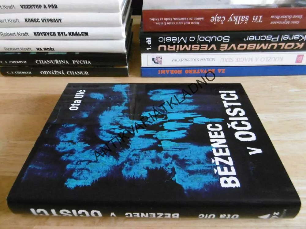 BĚŽENEC V OČISTCI, OTA ULČ, **an