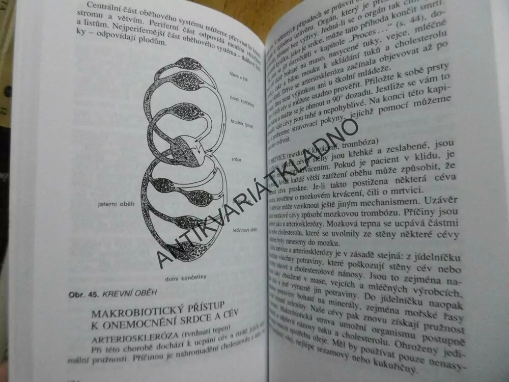 PŘÍRODNÍ LÉČENÍ MAKROBIOTIKOU, MICHIO KUSHI, **an