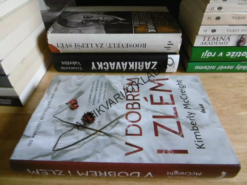 V DOBRÉM I ZLÉM, KIMBERLY MCCREIGHT, **an