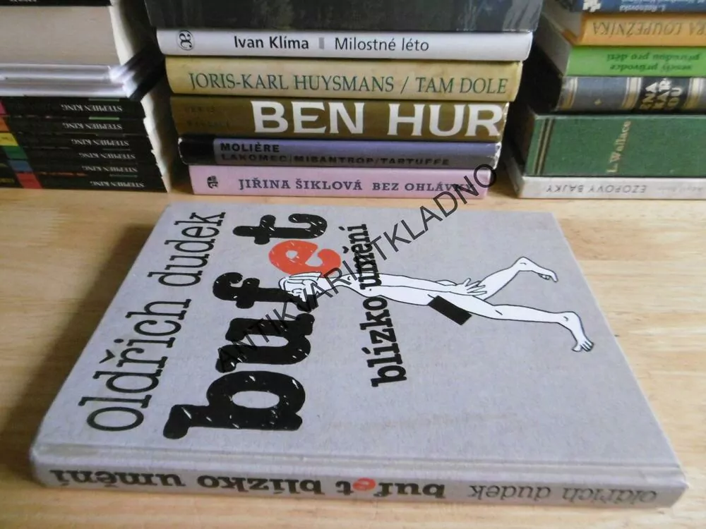 BUFET BLÍZKO UMĚNÍ, OLDŘICH DUDEK, **an