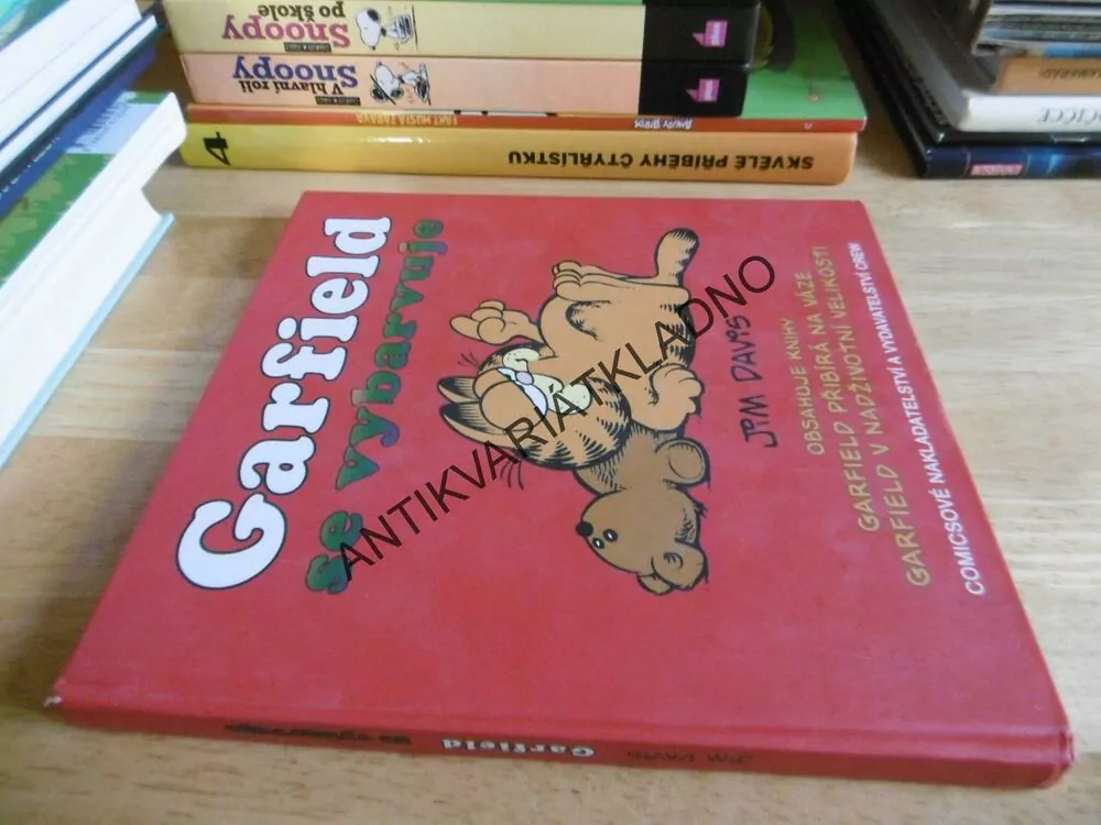 GARFIELD SE VYBARVUJE, JIM DAVIS, **an
