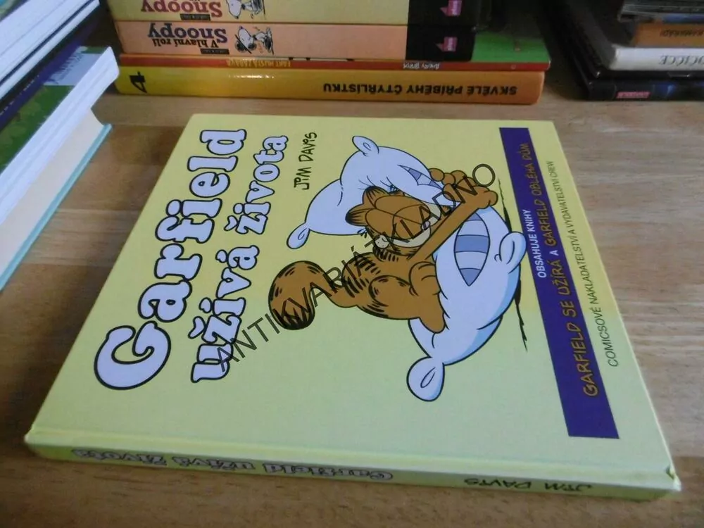 GARFIELD UŽÍVÁ ŽIVOTA, JIM DAVIS, **an