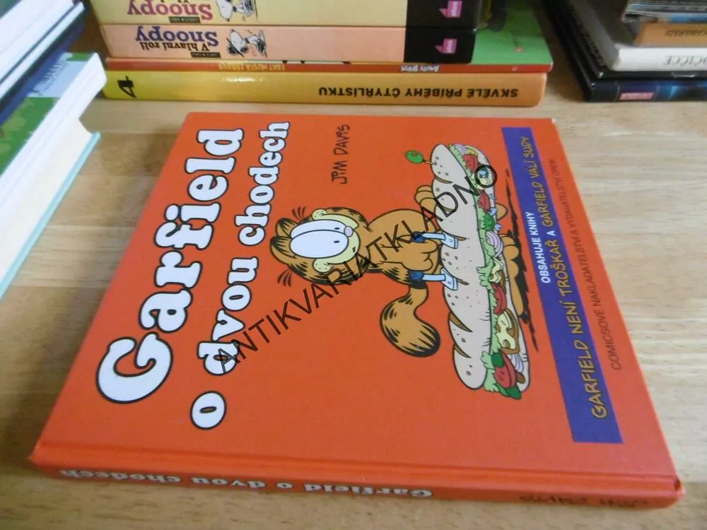 GARFIELD O DVOU CHODECH, JIM DAVIS, **an