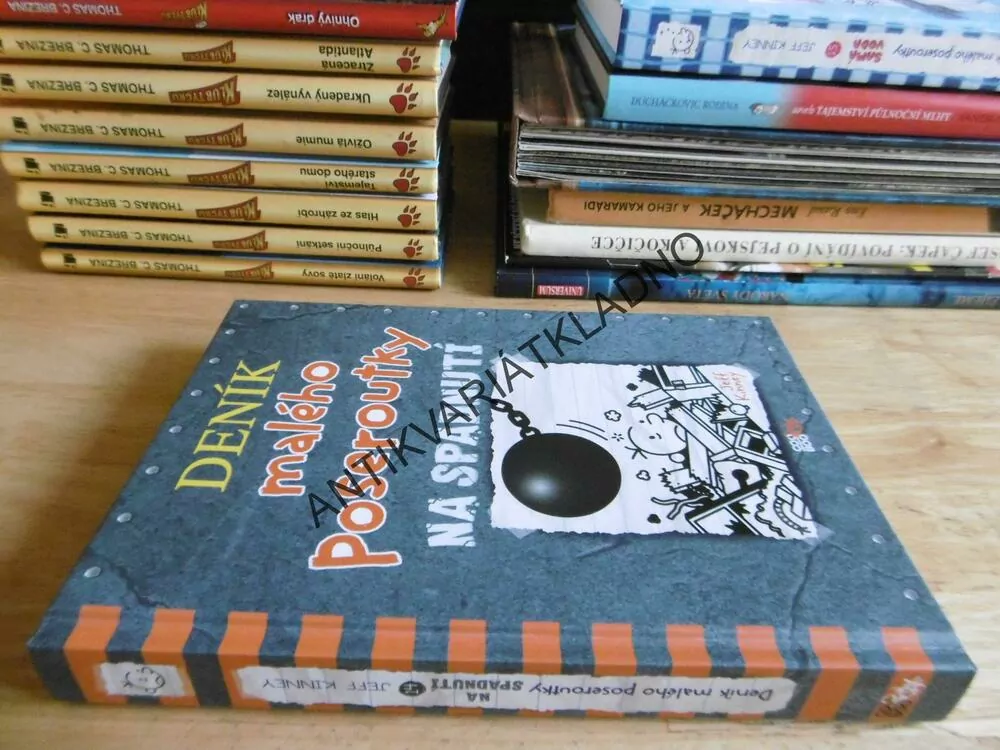 DENÍK MALÉHO POSEROUTKY 14., NA SPADNUTÍ, JEFF KINNEY, **an