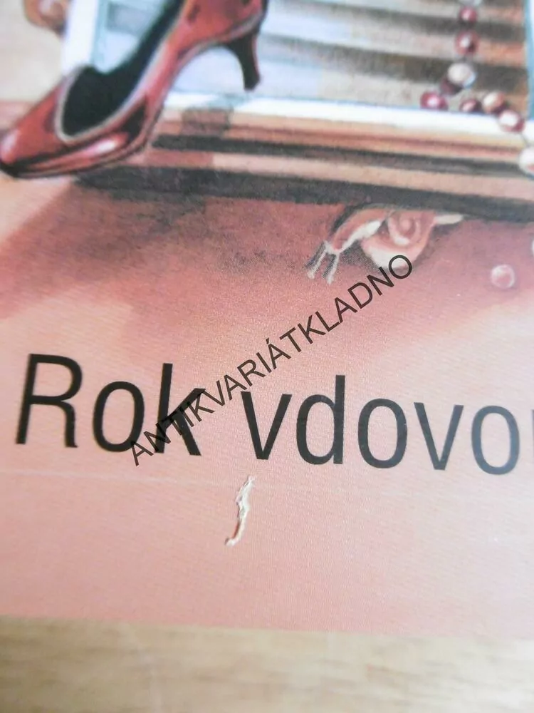 ROK VDOVOU, JOHN IRVING, **an