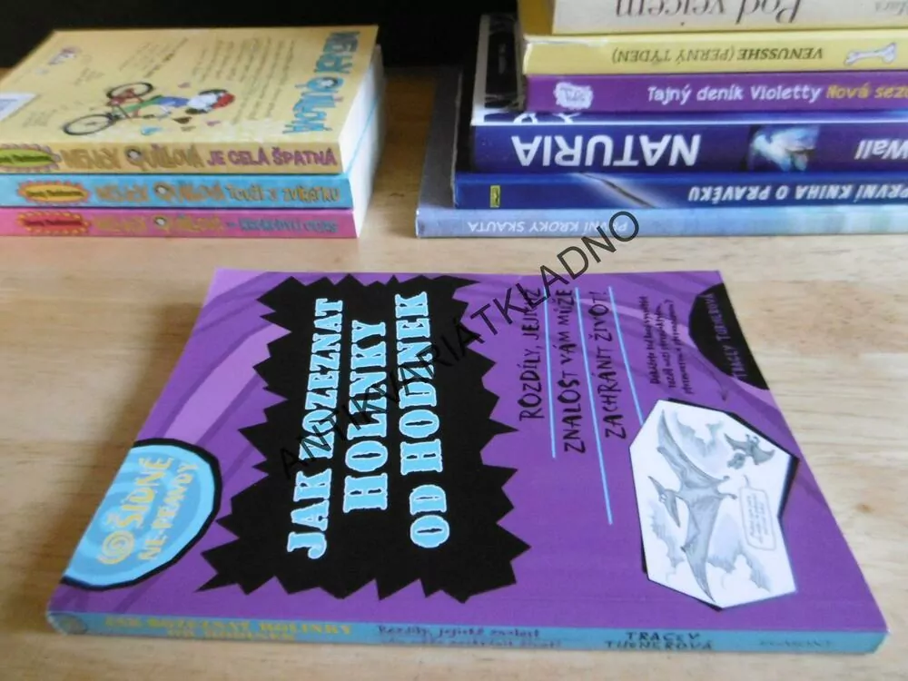 JAK ROZEZNAT HOLINKY OD HODINEK, TRACEY TURNEROVÁ, **an