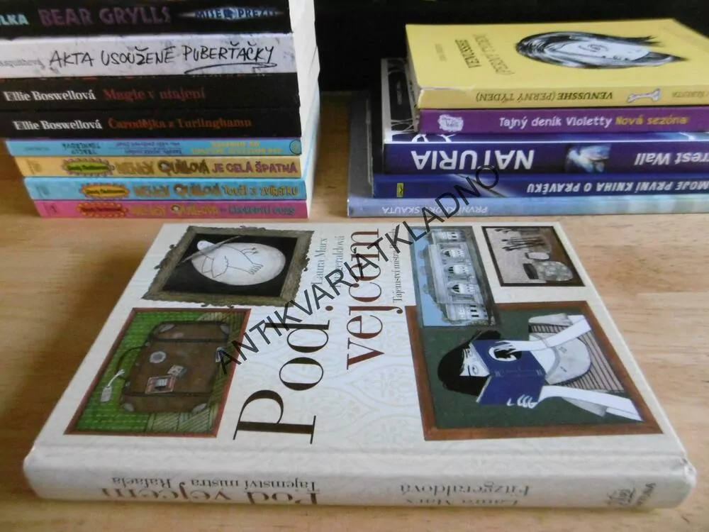 POD VEJCEM, TAJEMSTVÍ MISTRA RAFAELA, LAURA MARX FITZGERALDOVÁ, **an