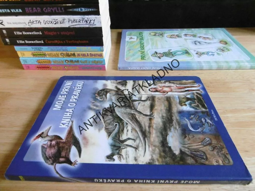 MOJE PRVNÍ KNIHA O PRAVĚKU, **an