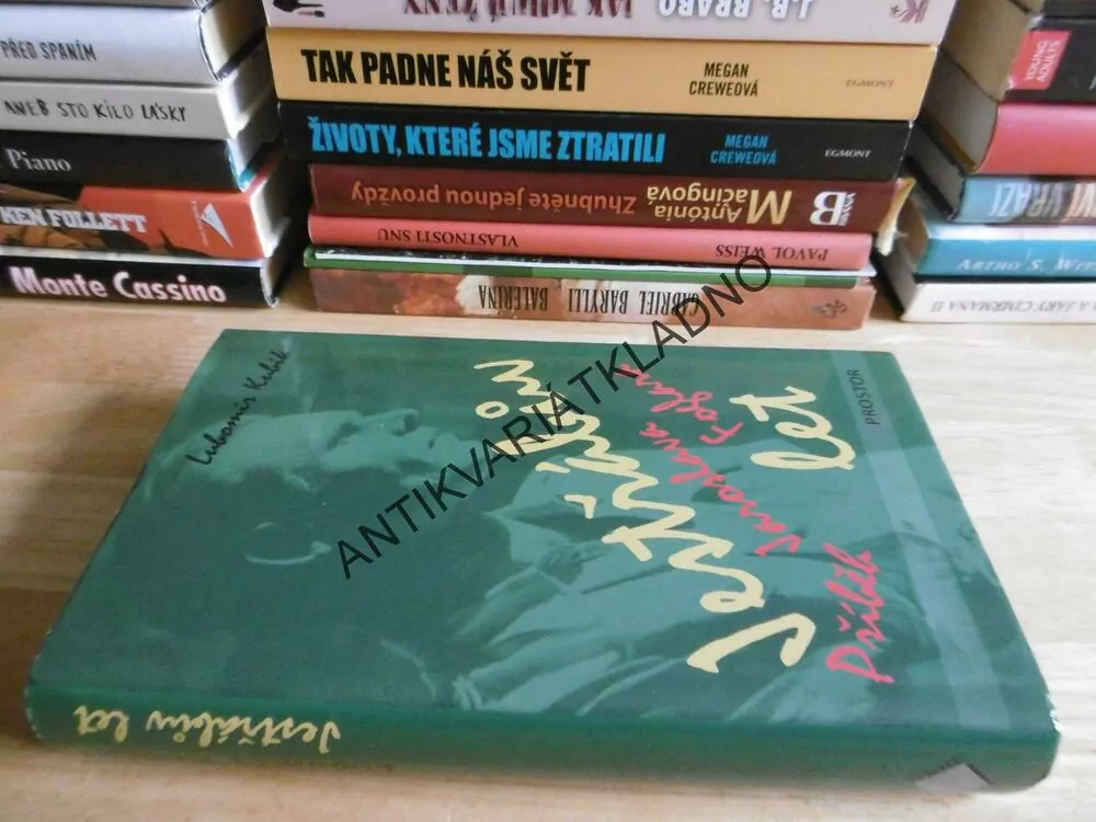 JESTŘÁBŮV LET, PŘÍBĚH JAROSLAVA FOGLARA, LUBOMÍR KUBÍK, **an