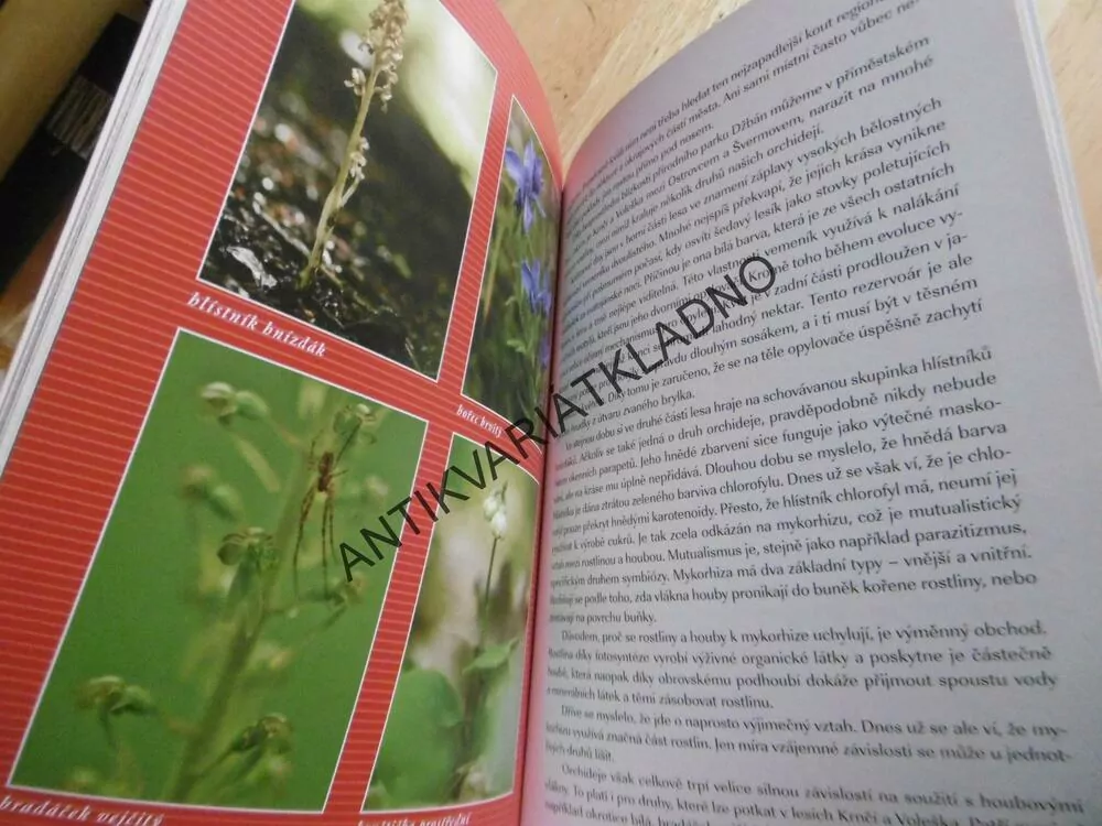 KLADENSKOU PŘÍRODOU PO CELÝ ROK, MICHAL PROCHÁZKA, **an
