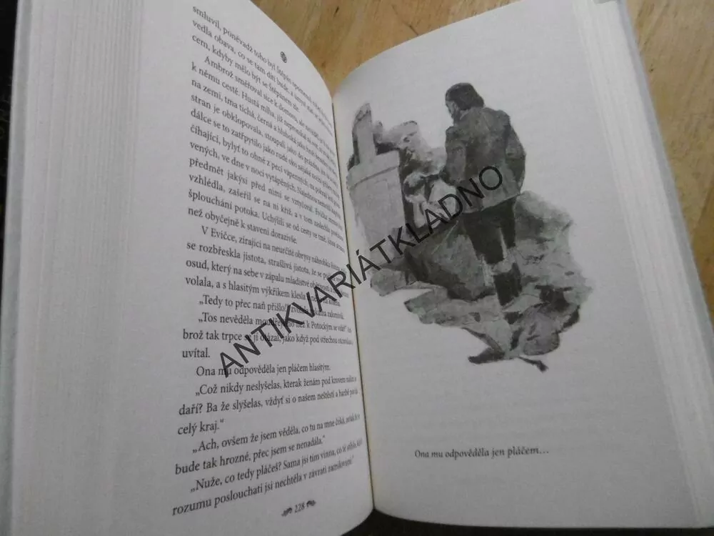 KŘÍŽ U POTOKA, KAROLINA SVĚTLÁ, **an