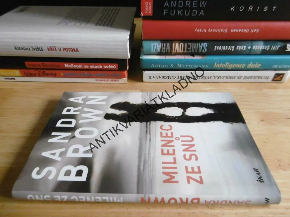 MILENEC ZE SNŮ, SANDRA BROWN, **an