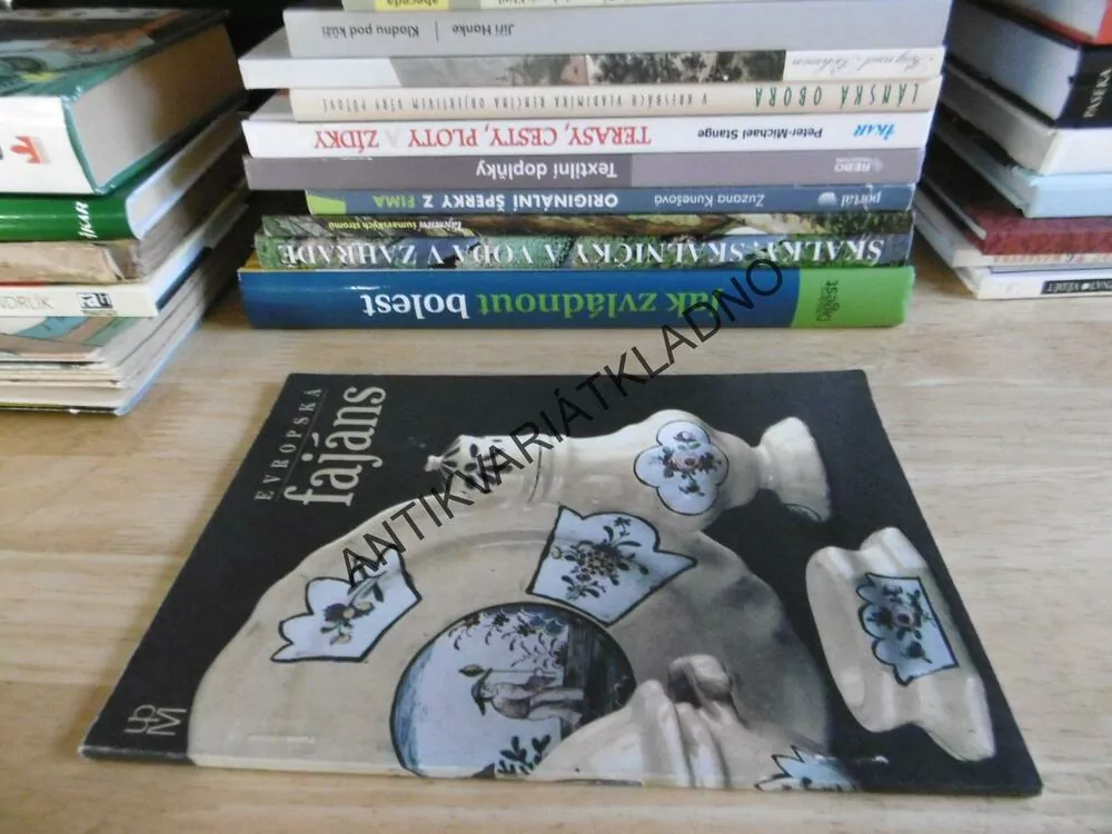EVROPSKÁ FAJÁNS, **an